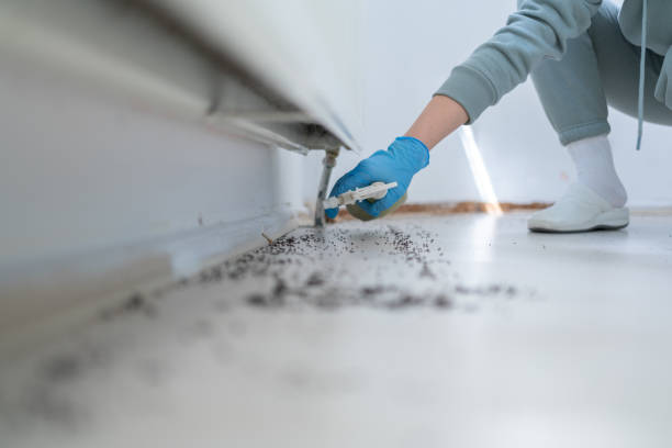 Best Affordable Pest Control Services  in Monroe Manor, NJ